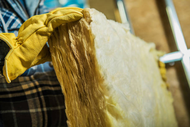 Best Insulation Installation Services in Tichigan, WI